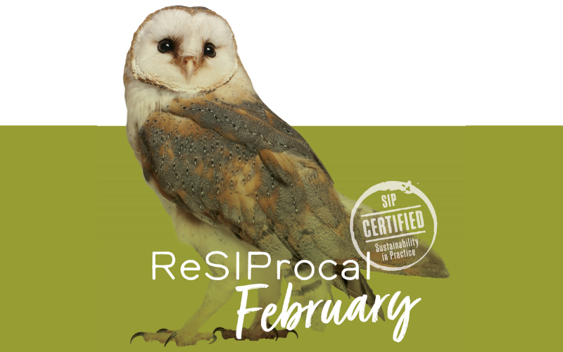 ReSIProcal February
