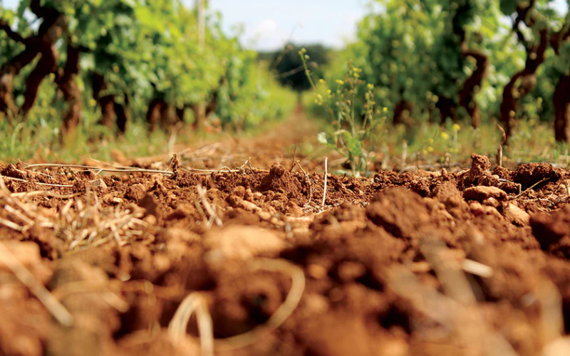 Improving Soil Health with Compost & Vermiculture Tailgate