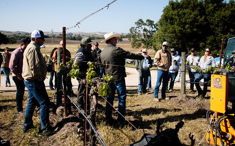 Vineyard Team Demonstration Project