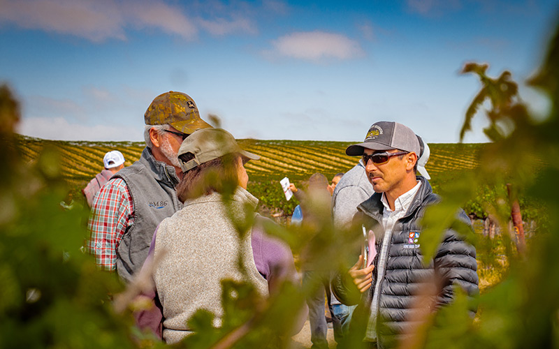 Vineyard Team Growers