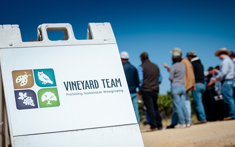 Vineyard Team Sign